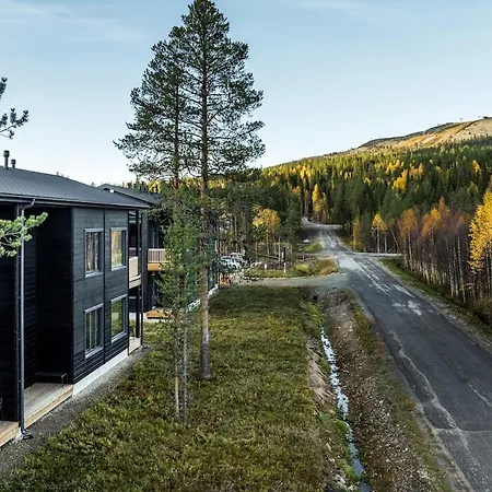 Levin Lyhty Diana D2 By Hilla