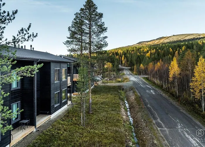 Levin Lyhty Diana D2 By Hilla